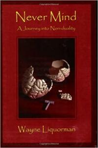 Never Mind A Journey Into Non Duality by Wayne Liquorman EPUB
