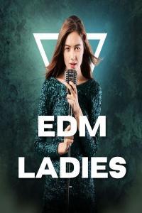 V A EDM Ladies 2023 Dance Flac 16 44