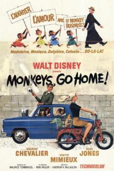 Monkeys, Go Home! 1967 720p bluray YTS