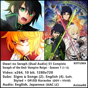 AnimeRG Seraph of the End S1 Dual Audio 720p Hi10p Vampire Reign Owari no Seraph Complete Season 1 01 12 KoTuWa