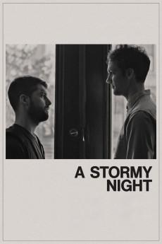 A Stormy Night 2020 720p web YTS