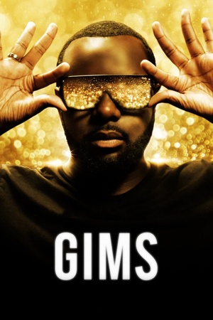 GIMS: On the Record 2020 1080p web YTS