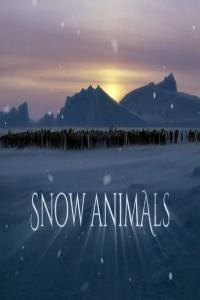 BBC Snow Animals 1080p HDTV x265 AAC MVGroup org mkv
