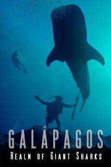 Galapagos: Realm of Giant Sharks 2012 720p web YTS