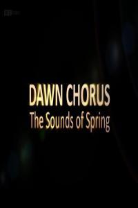 BBC Dawn Chorus The Sounds of Spring 2160p HDTV h266 AAC MVGroup Forum mp4