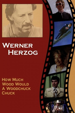 How Much Wood Would a Woodchuck Chuck... 1976 1080p bluray YTS