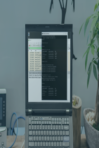 Network Protocol Deep Dives