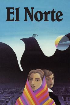 El Norte 1983 720p bluray YTS