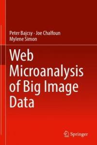 Web Microanalysis of Big Image Data DevCourseWeb