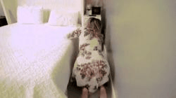 TabooHeat Nikki Brooks My Stuck Step Mom MILF Roleplay Hardcore 720p