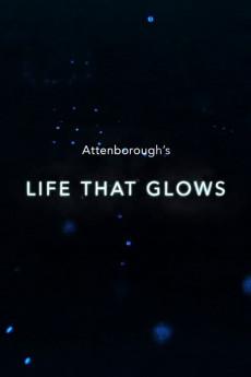 Attenborough's Life That Glows 2016 720p bluray YTS