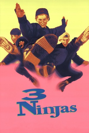 3 Ninjas 1992 1080p web YTS