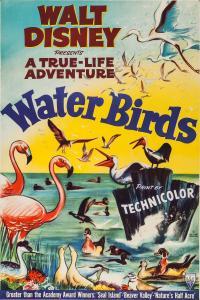 Water Birds 1952 1080p WEBRip x264 RARBG