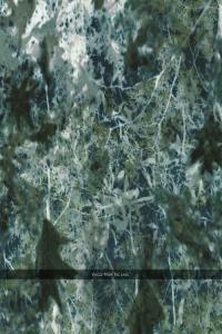 ambient electronic 2023 Voices from the Lake Voices from the Lake FLAC DarkAngie