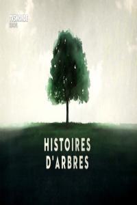TV5Monde Histoires d arbres Saison 2 4of5 Les Sacres 1080p HDTV x265 AAC MVGroup org mkv