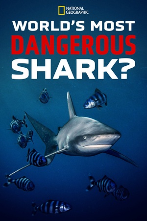 World's Most Dangerous Shark 2021 1080p web YTS