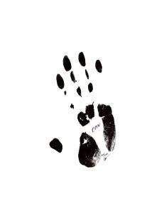 electronic experimental 2022 Conrad Schnitzler Con 84 1984 Reissue FLAC DarkAngie