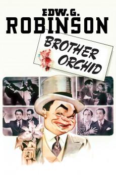 Brother Orchid 1940 720p web YTS