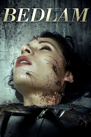 Bedlam 2015 1080p web YTS