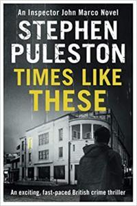 Times Like These by Stephen Puleston EPUB
