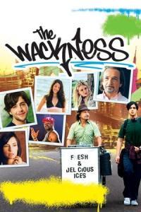 The Wackness 2008 720p BluRay x264 MoviesFD