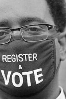 Whose Vote Counts, Explained Whose Vote Counts 2020 720p web YTS