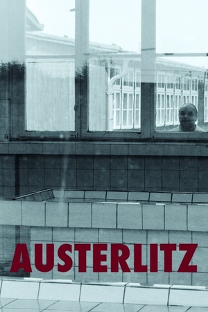 Austerlitz 2016 1080p web YTS