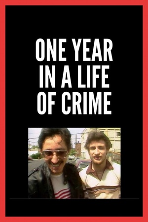 One Year in a Life of Crime 1989 1080p web YTS