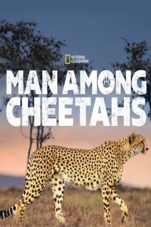Man Among Cheetahs 2017 1080p web YTS