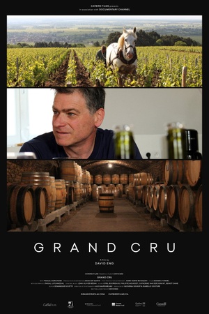 Grand Cru 2017 1080p web YTS