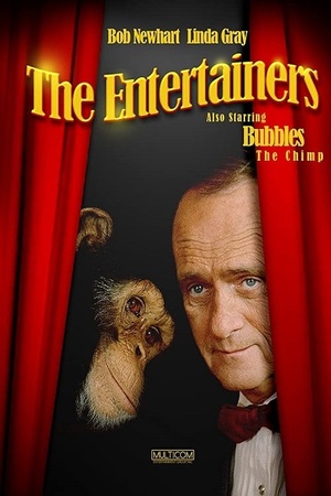 The Entertainers 1991 1080p web YTS