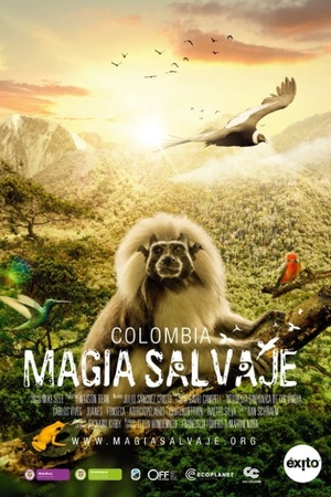 Colombia: Wild Magic 2015 1080p web YTS