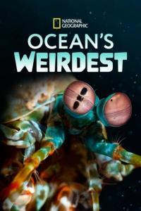 Oceans Weirdest S01 COMPLETE 720p DSNP WEBRip x264 GalaxyTV