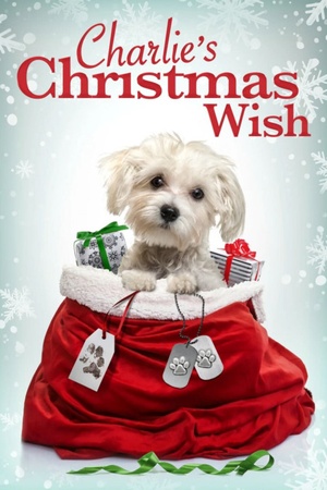Charlie's Christmas Wish 2020 1080p web YTS