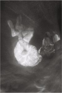 Alice Phoebe Lou Glow 2021 Mp3 320kbps PMEDIA