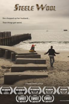 Steele Wool 2019 720p web YTS