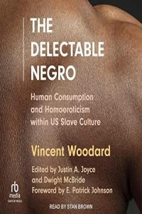 The Delectable Negro Vincent Woodard 2022 History Audiobook miok