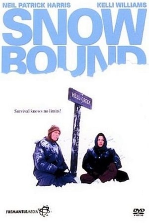 Snowbound 2001 1080p web YTS