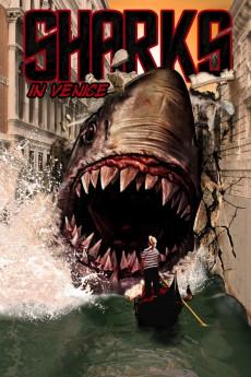 Shark in Venice 2008 720p web YTS