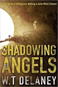 A Shadowing of Angels by W T Delaney EPUB