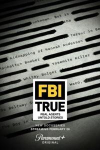 FBI True S03 COMPLETE 720p WEBRip x264 GalaxyTV