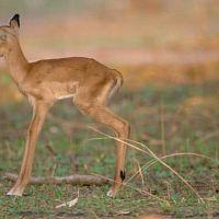 Valley of Flood and Fire S01E01 Emerald Season 720p AMZN WEB DL DDP2 0 H 264 NTb TGx