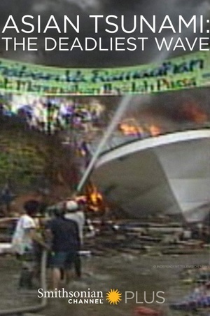 Asian Tsunami: The Deadliest Wave 2014 1080p web YTS