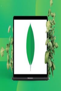 Udemy MongoDB for Beginners