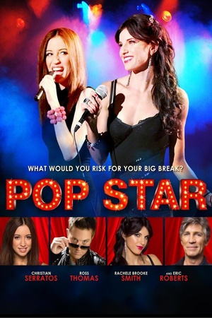 Pop Star 2013 1080p bluray YTS