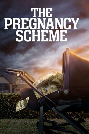 The Pregnancy Scheme 2023 1080p web YTS