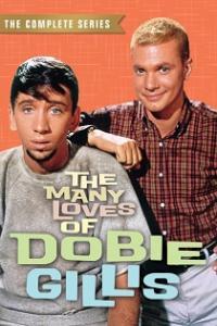 The Many Loves of Dobie Gillis 1959 Season 4 Complete TVRip x264 i c