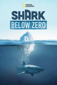 Shark Below Zero 2023 720p web YTS