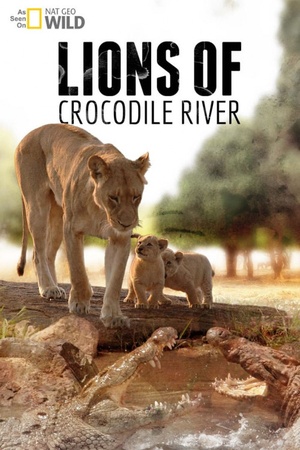 Lions of Crocodile River 2007 1080p web YTS