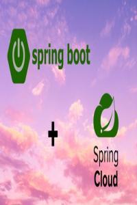 Udemy Microservices with Spring Boot and Spring Cloud